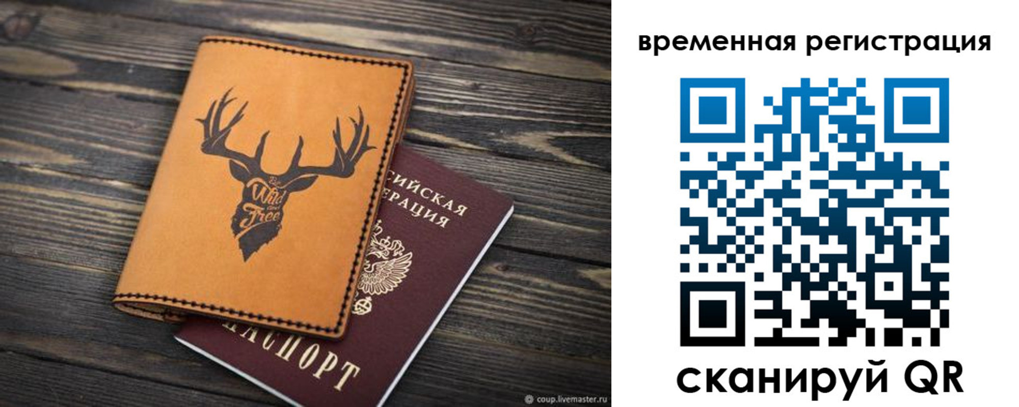 прописка в Мытищах